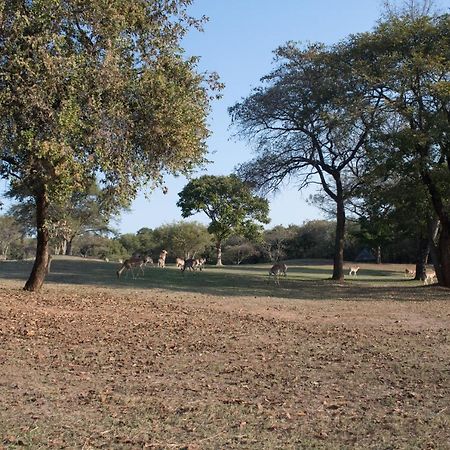 Kruger Park Lodge Unit 245 Hazyview Bagian luar foto